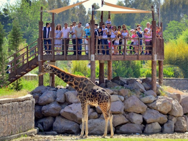 حديقة إزمير للحياة البرية